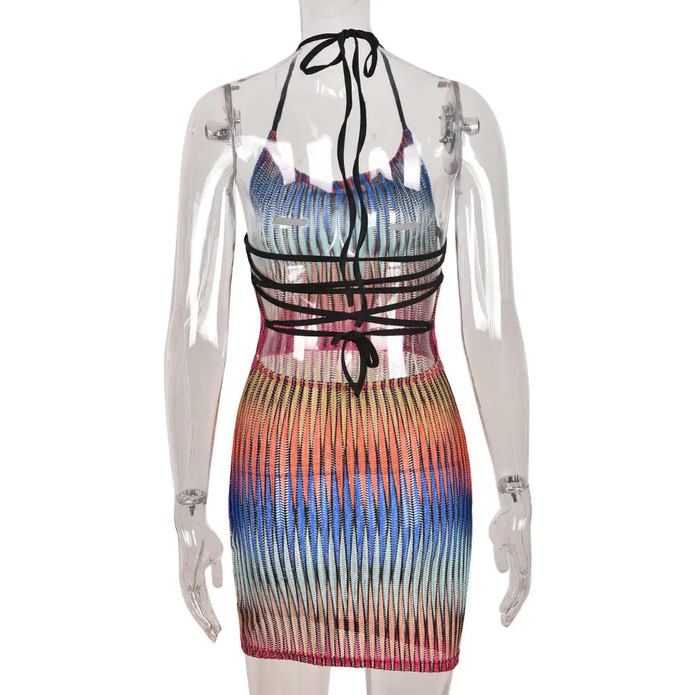 Dimor Mesh Mini Dress